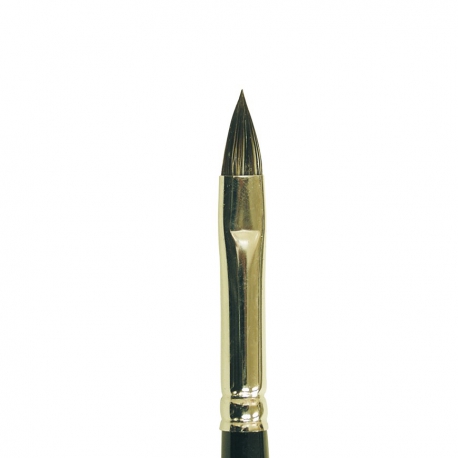 Golden Brush Retractable