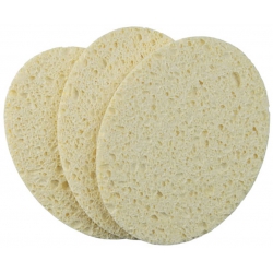 Sponge
