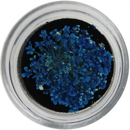 Natural Dried Flower