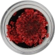 Natural Dried Flower