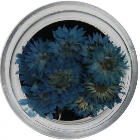 Natural Dried Flower