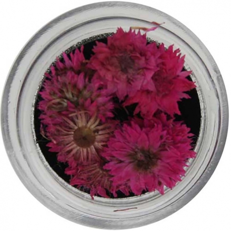 Natural Dried Flower