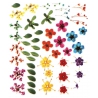 Flower Stickers