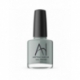 Astra Nail's Polishes