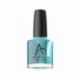 Astra Nail's Polishes