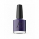 Astra Nail's Polishes