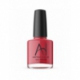 Astra Nail's Polishes
