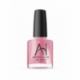 Astra Nail's Polishes